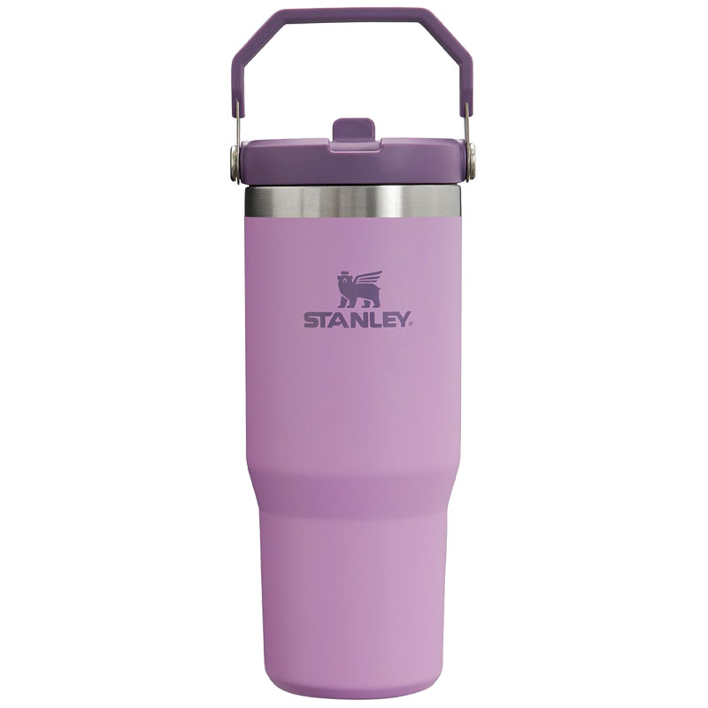 30 Oz. Stanley IceFlow Lilac BPA Free Insulated Straw Tumbler