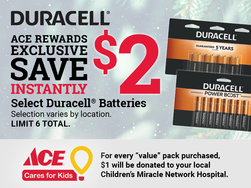 16 Pk. Duracell Coppertop AA Alkaline Battery 