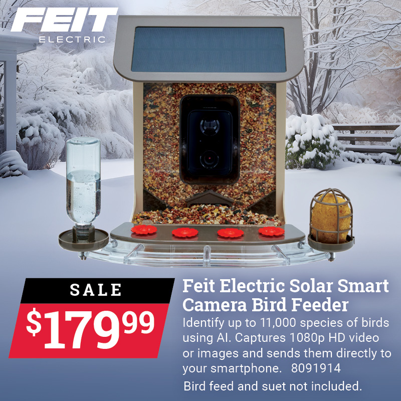 Feit Electric Solar Smart Camera Bird Feeder