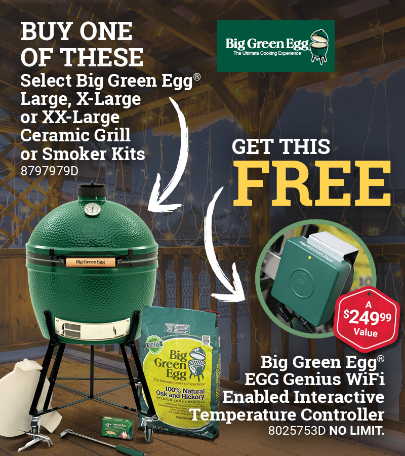 Big Green Egg XLarge EGG In Nest Package