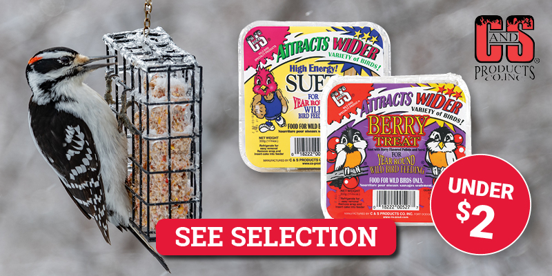 C&S® Bird Suet