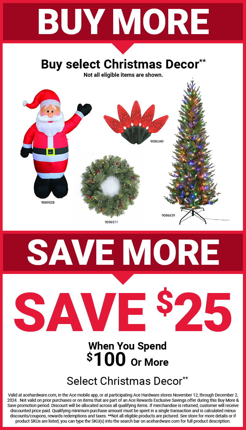 Buy More Save More Christmas Decor