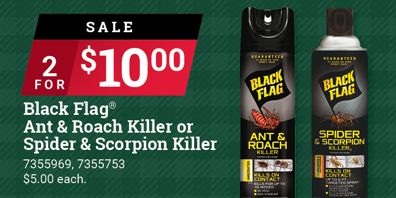 17.5 Ounce Black Flag Ant & Roach Killer Spray