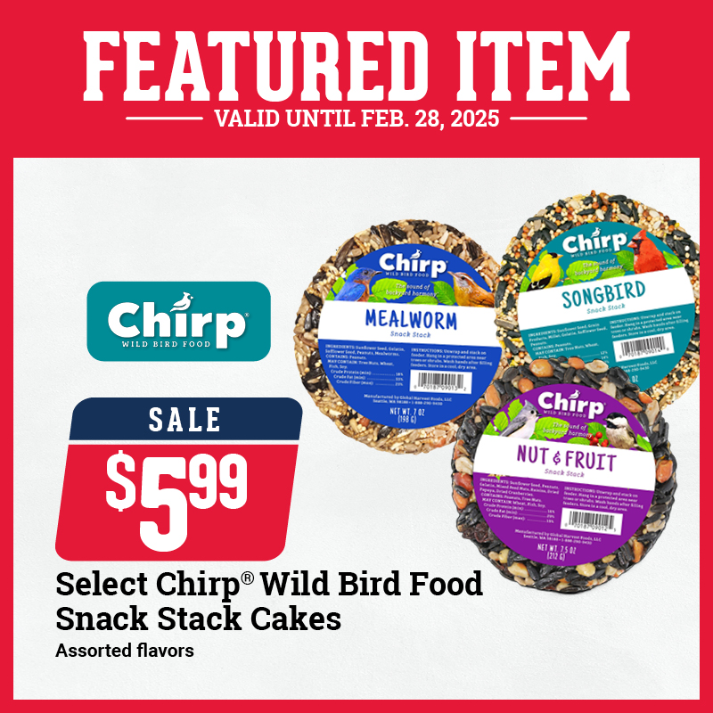 Chirp Snack Stack Cakes