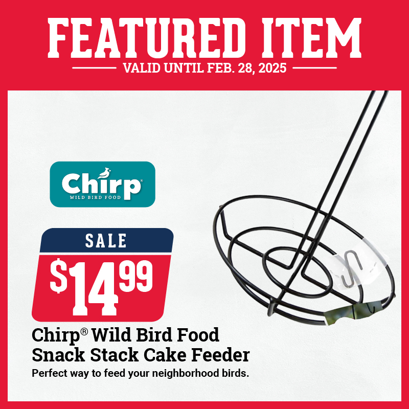 Chirp Cake Feeder