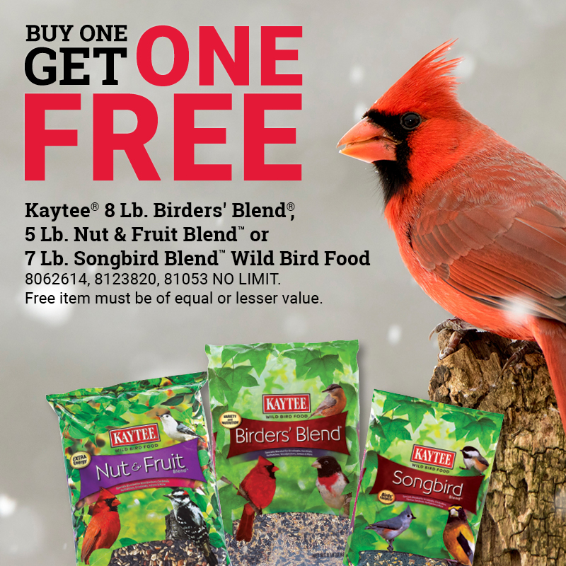 Kaytee Bird Seed