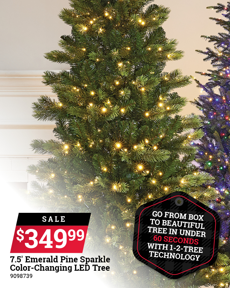 LED Christmas Trees Feature