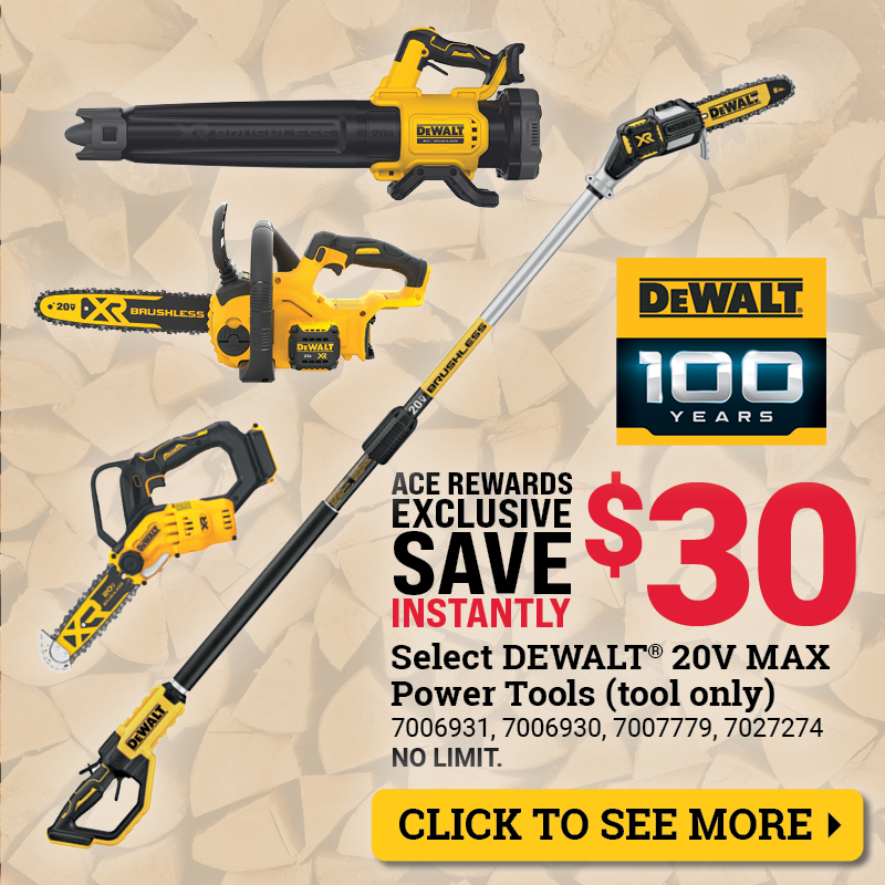 Save $30 on Select DeWalt® 20V MAX Power Tools